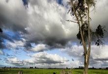 斯卡洛尼：阿根廷队每个人年龄都在变大，总有一天要更新换代.